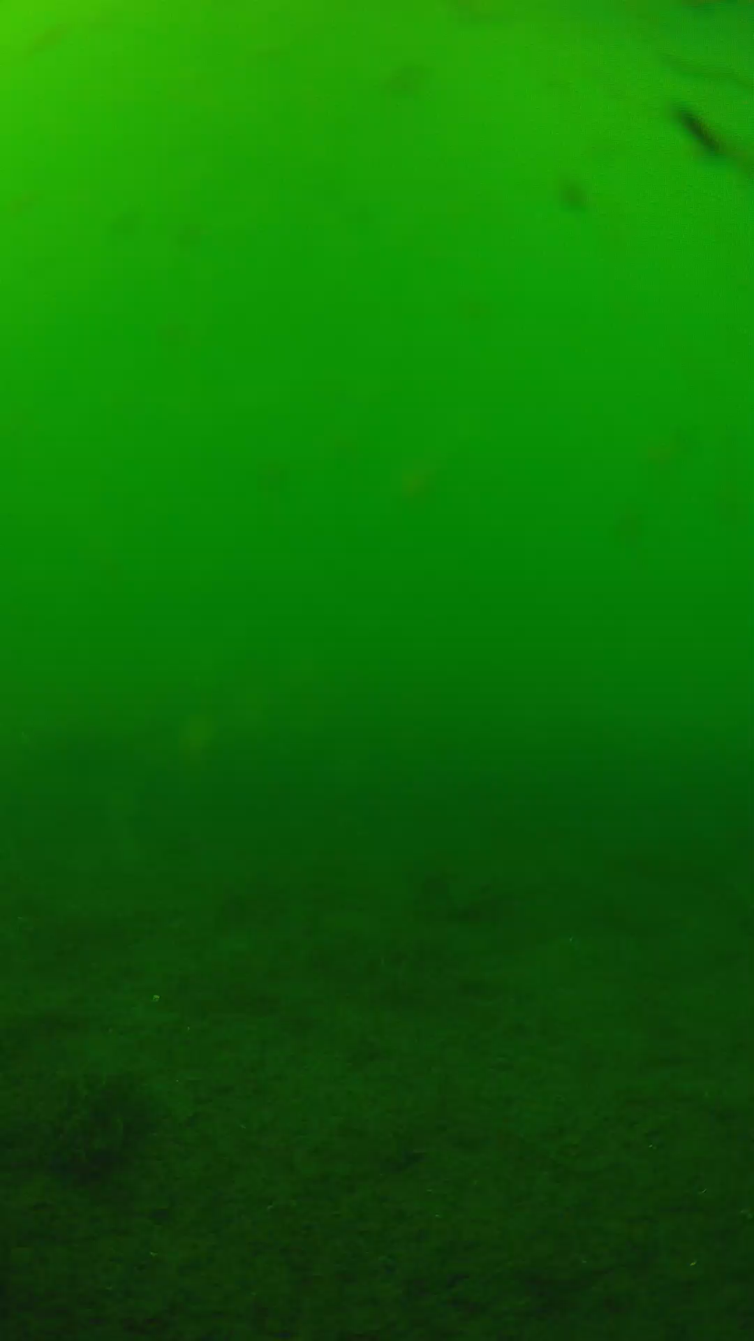 lander_ipcam_20240622150554.png