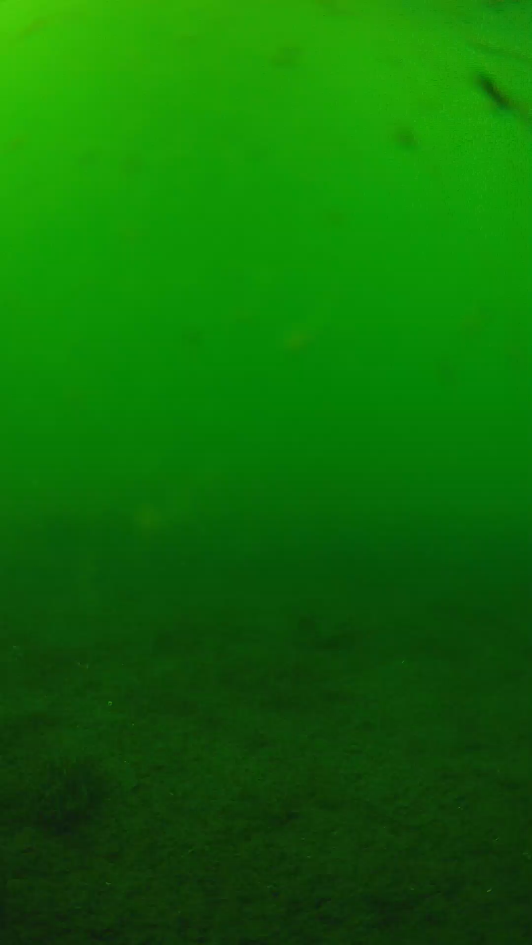 lander_ipcam_20240622150556.png
