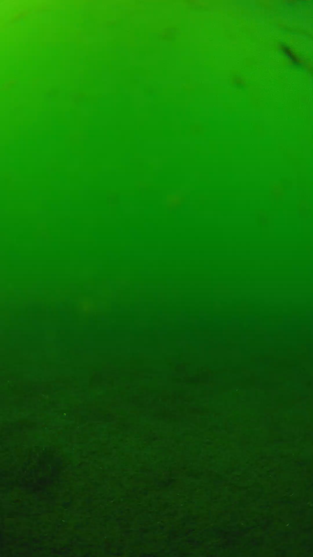 lander_ipcam_20240622150557.png