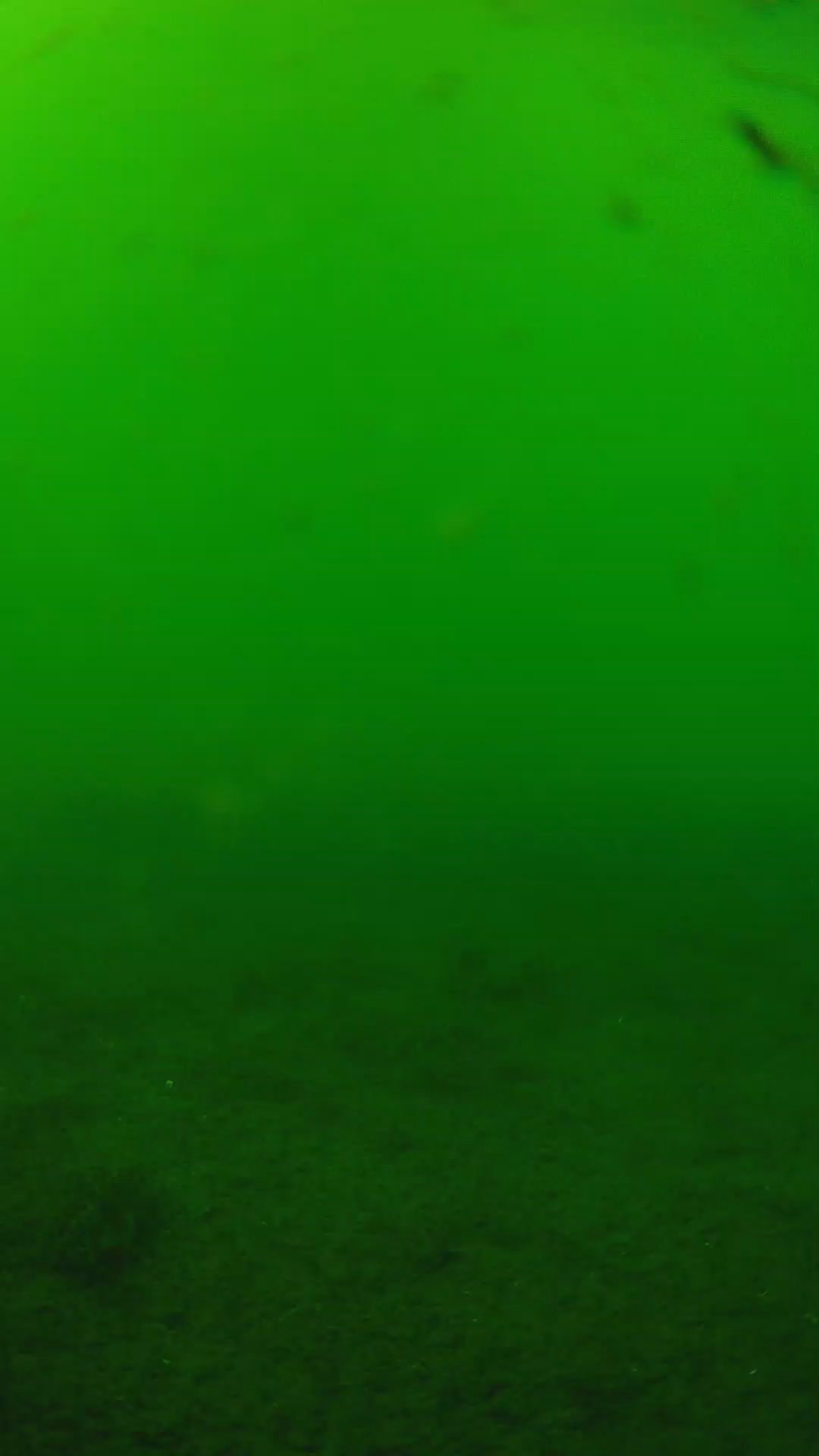 lander_ipcam_20240622150558.png