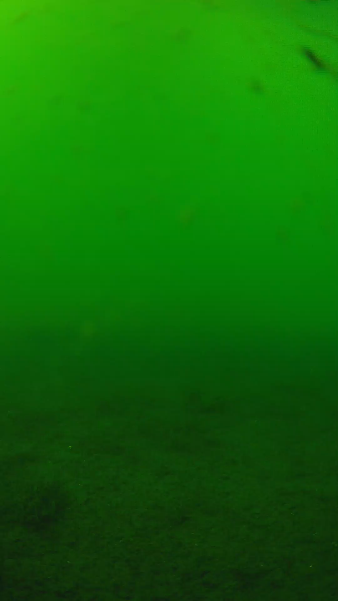 lander_ipcam_20240622150601.png