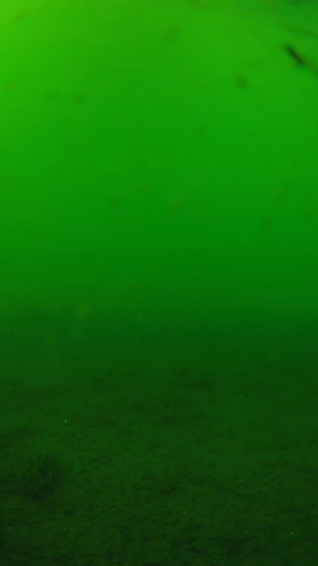 lander_ipcam_20240622150604.png