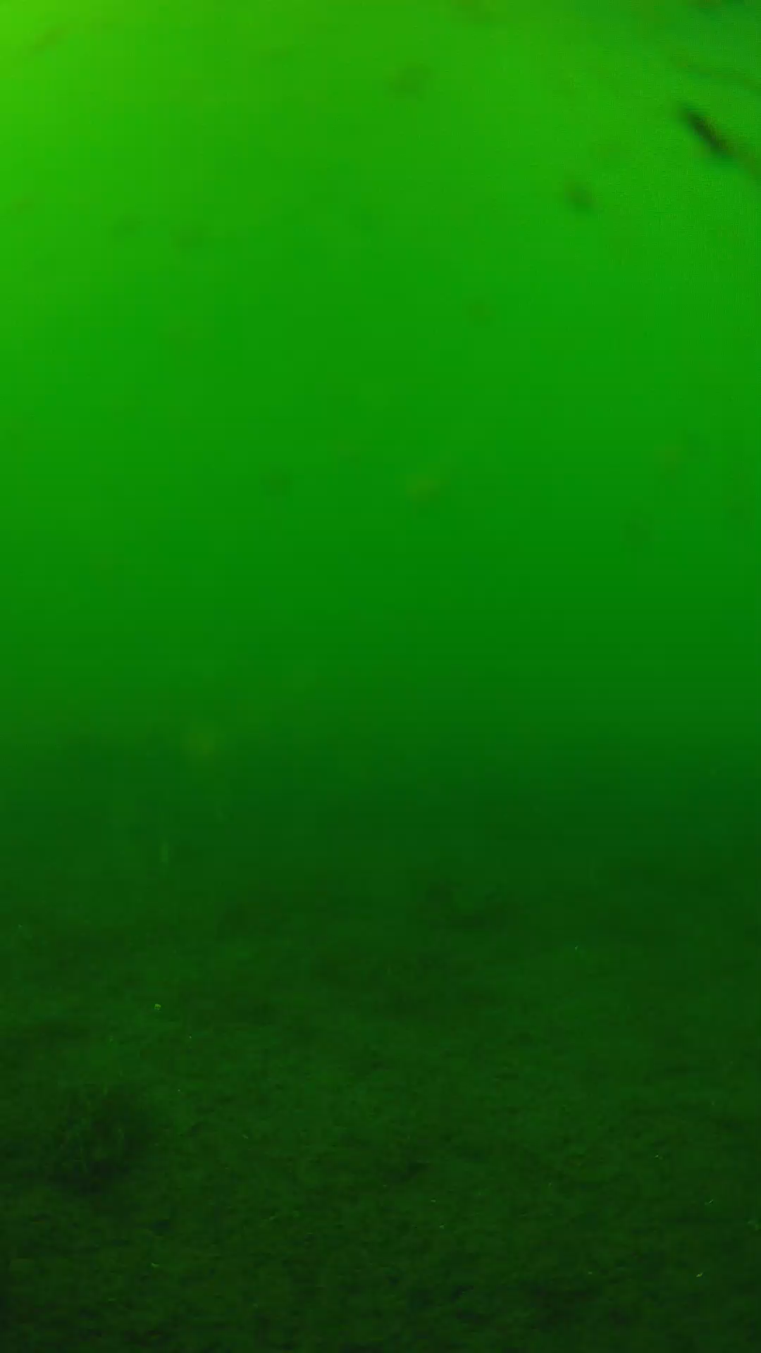lander_ipcam_20240622150607.png