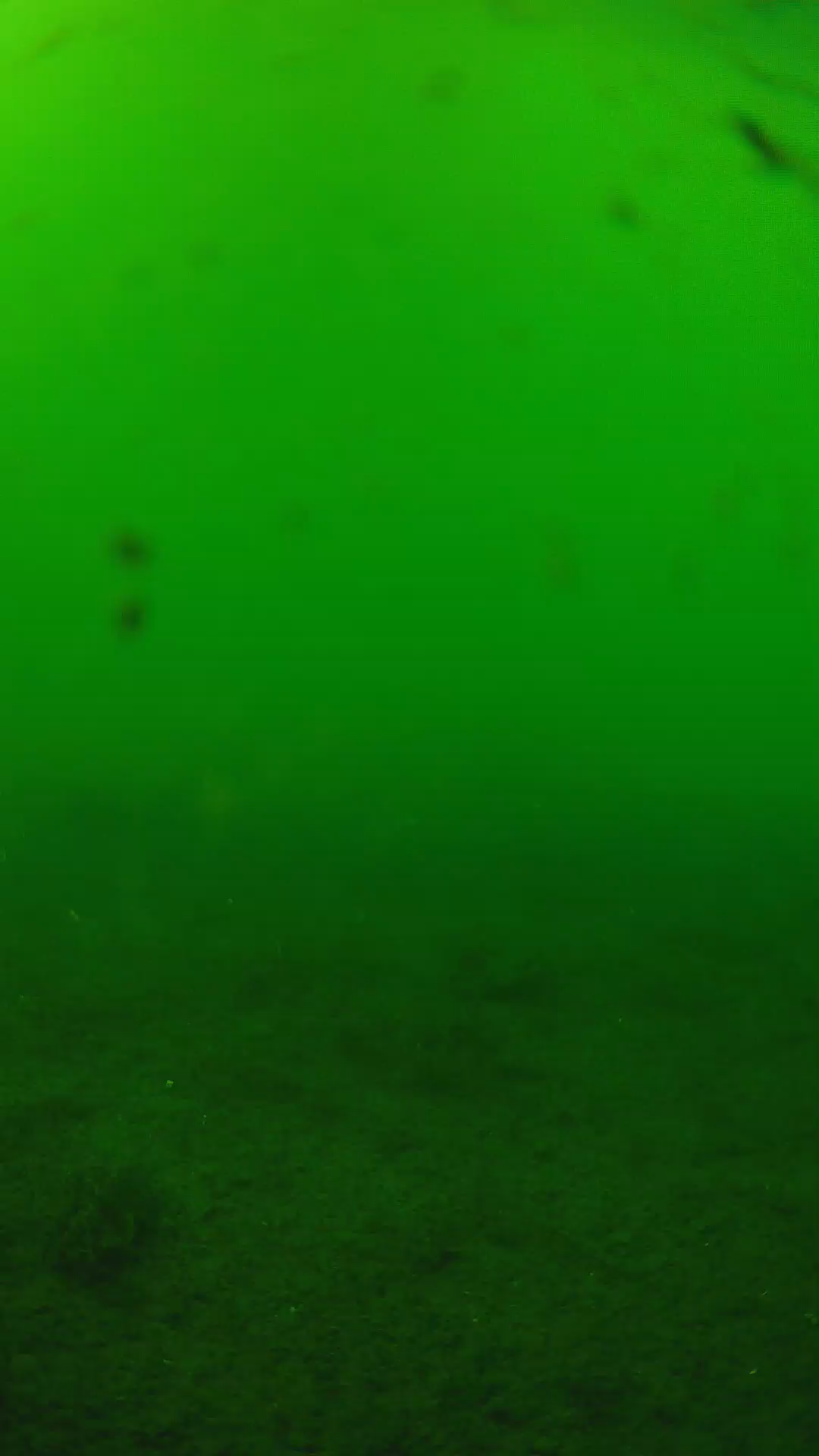 lander_ipcam_20240622153542.png