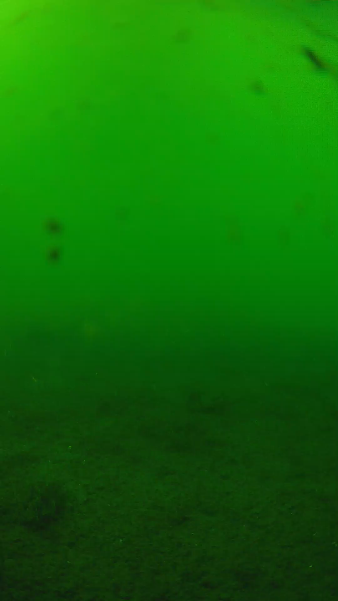 lander_ipcam_20240622153543.png