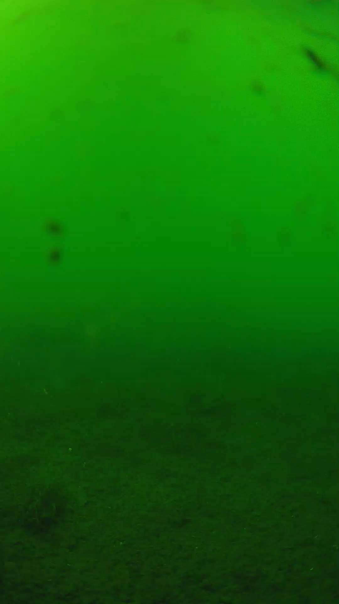 lander_ipcam_20240622153546.png