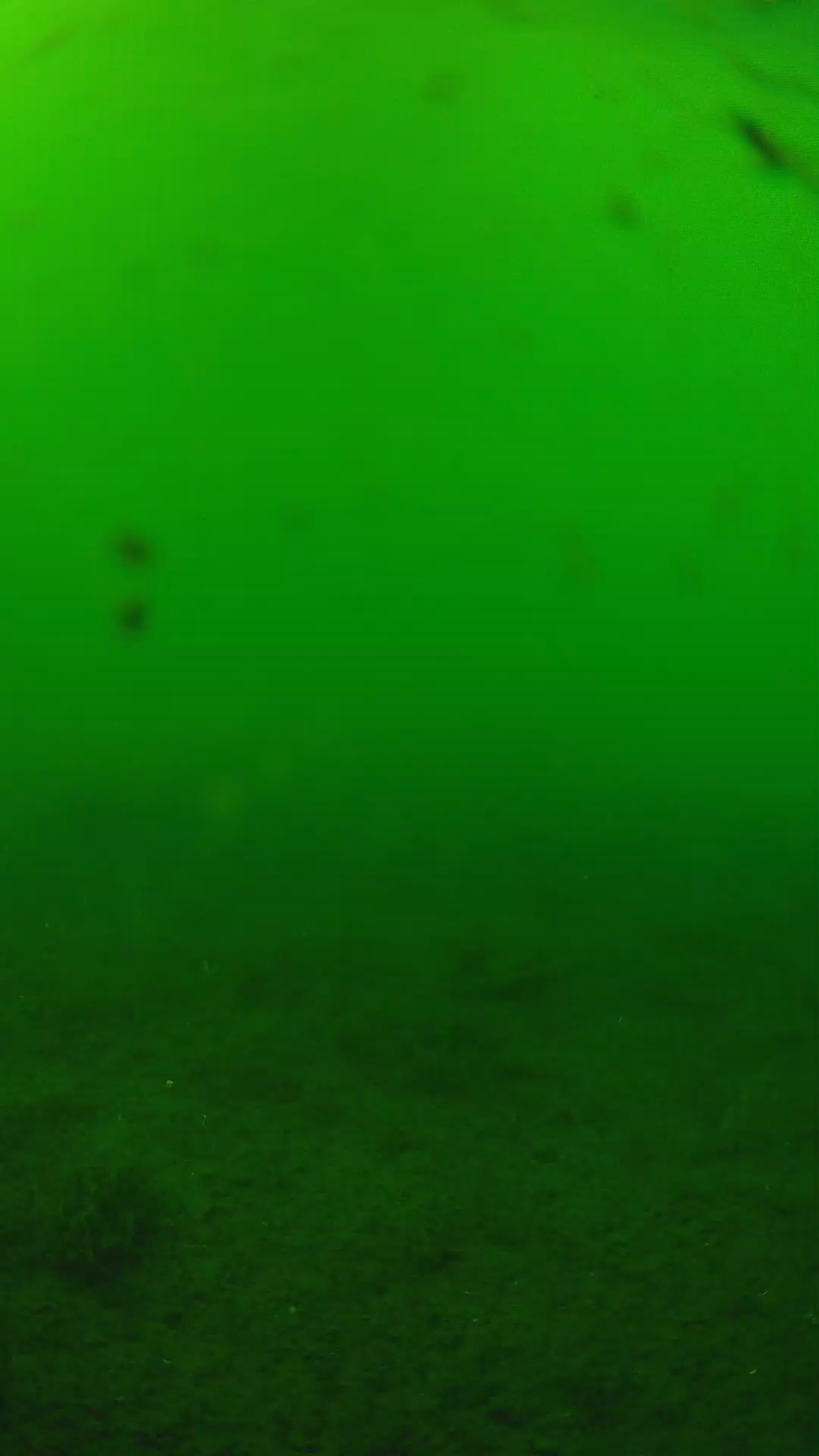 lander_ipcam_20240622153553.png