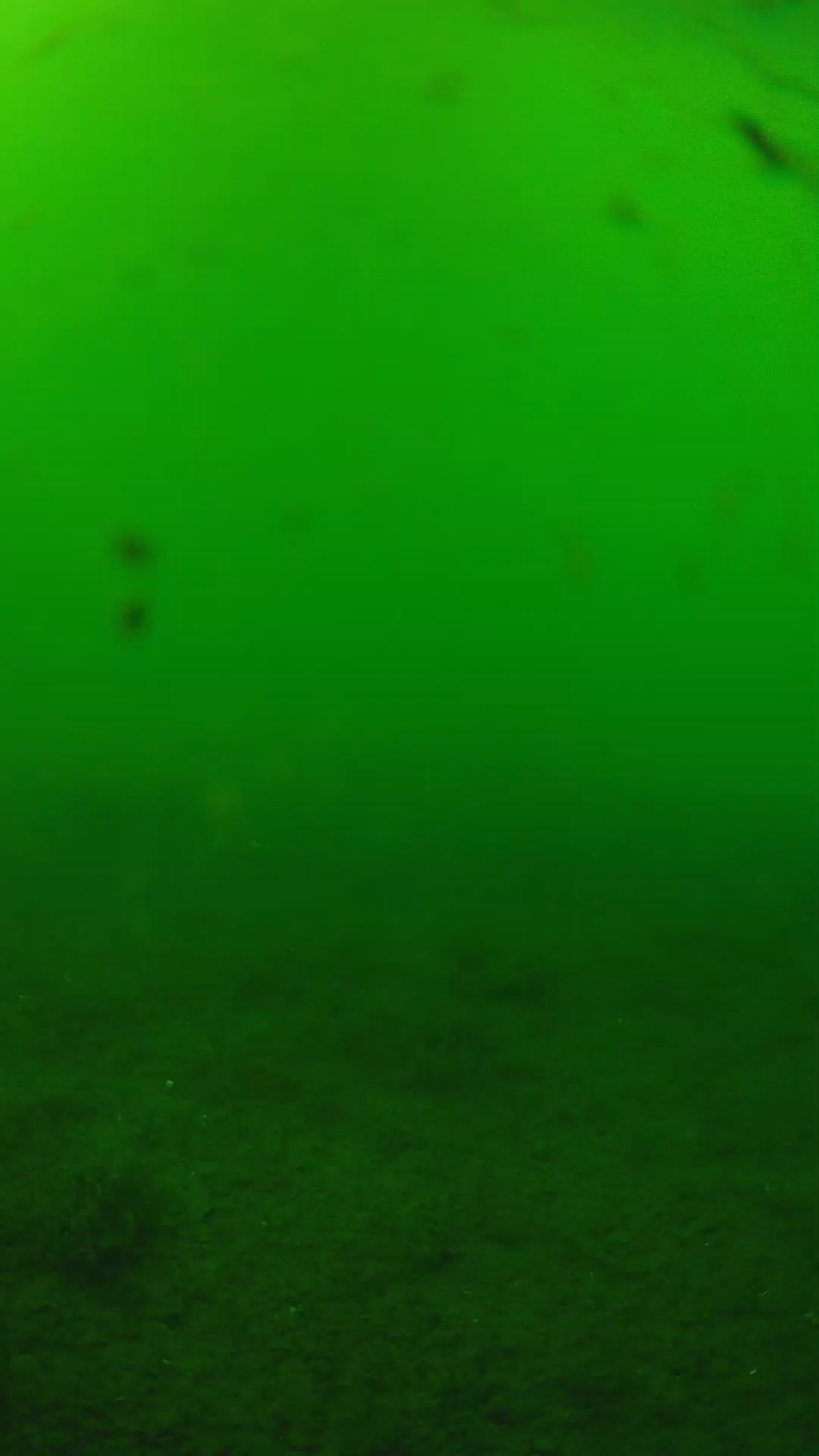 lander_ipcam_20240622153558.png
