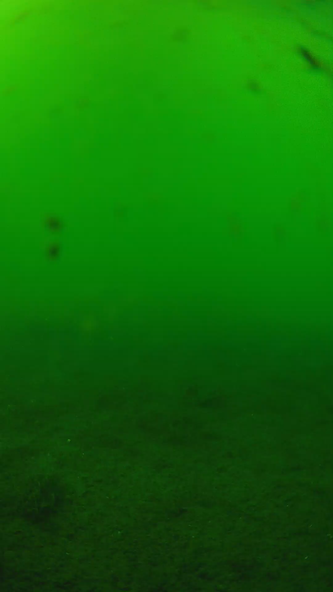 lander_ipcam_20240622153559.png