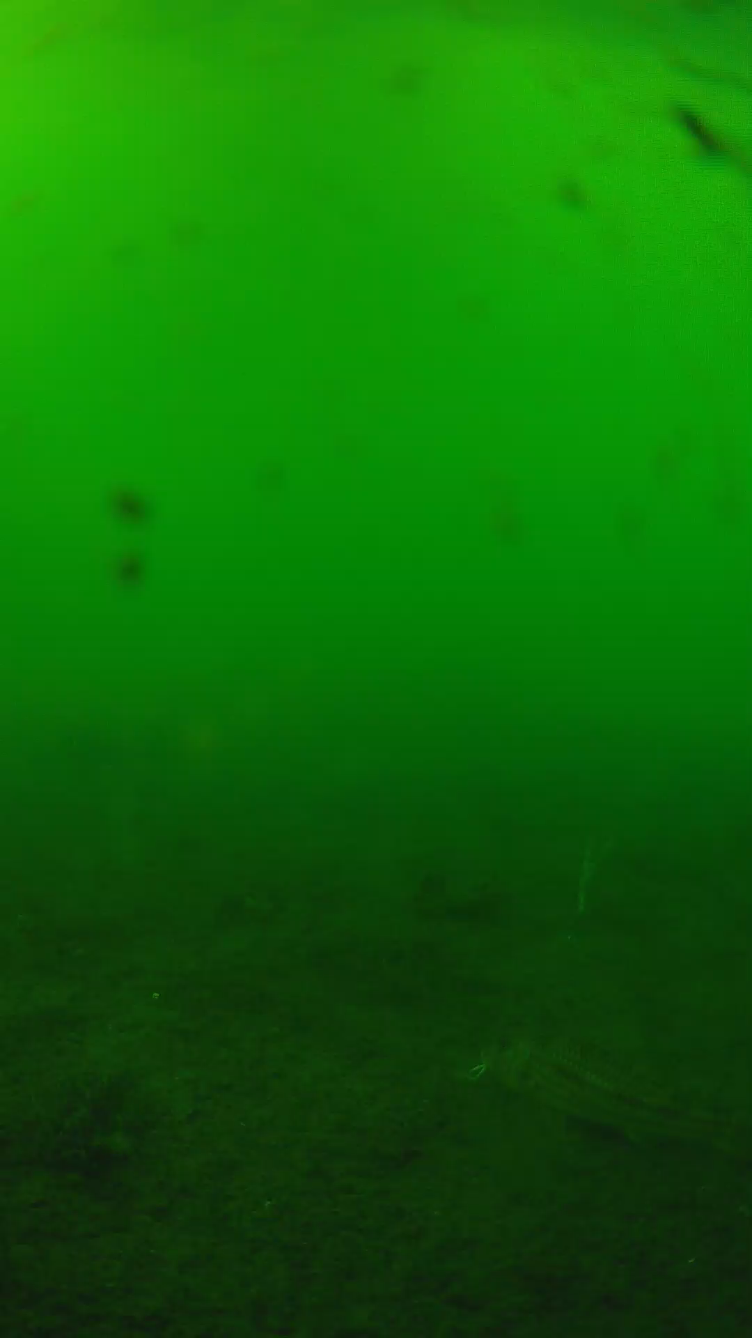 lander_ipcam_20240622160538.png