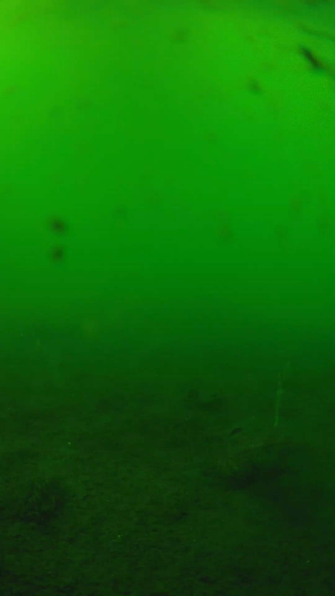 lander_ipcam_20240622160541.png