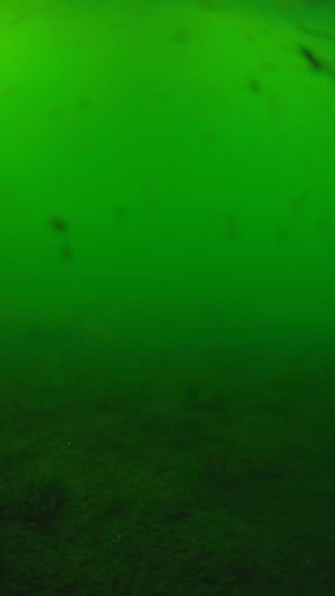 lander_ipcam_20240622160555.png