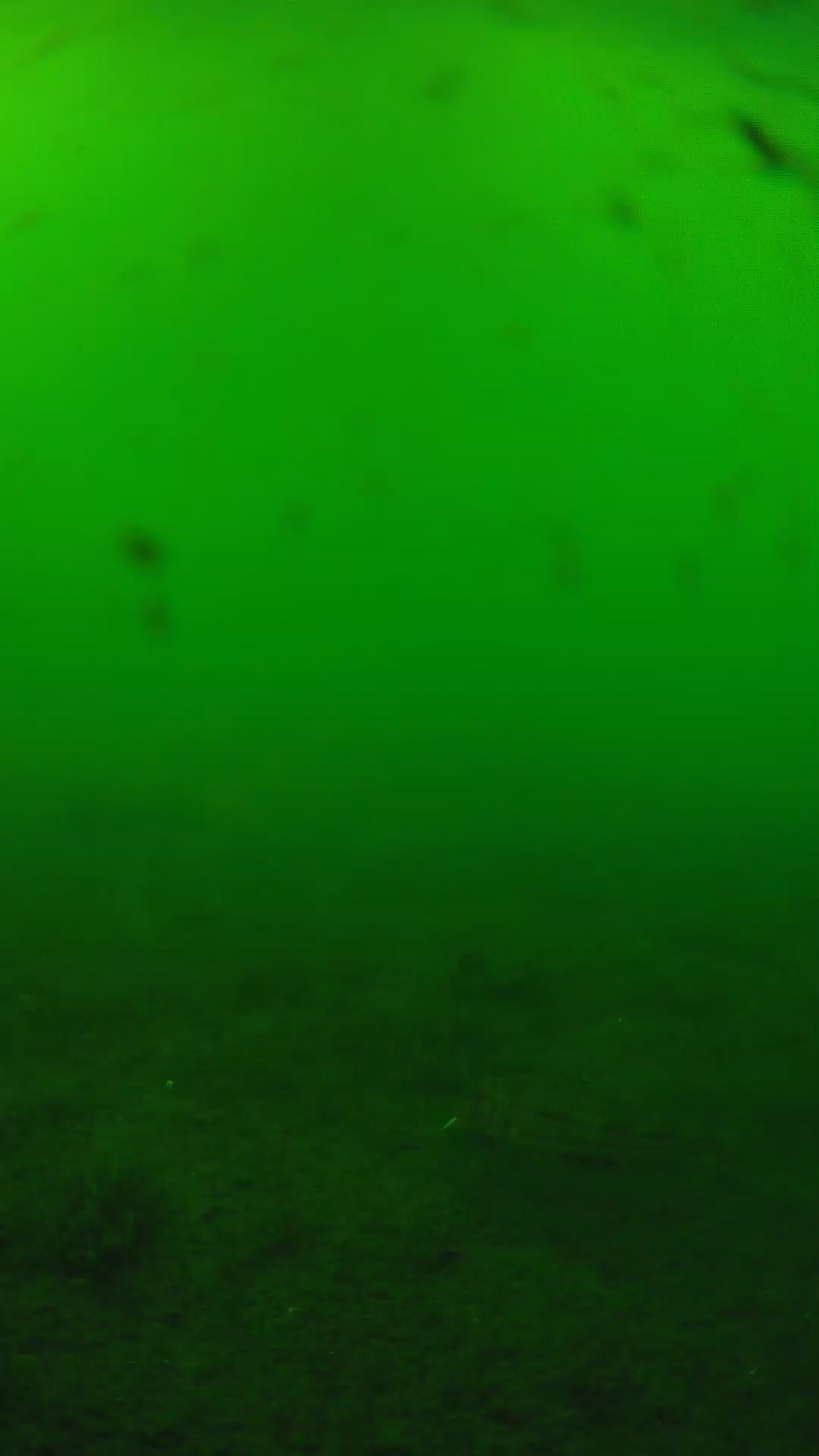 lander_ipcam_20240622160558.png
