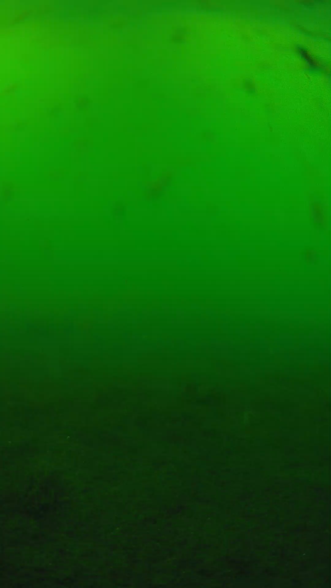 lander_ipcam_20240622163544.png