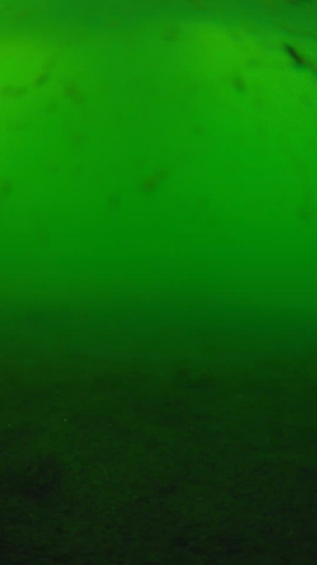 lander_ipcam_20240622170544.png