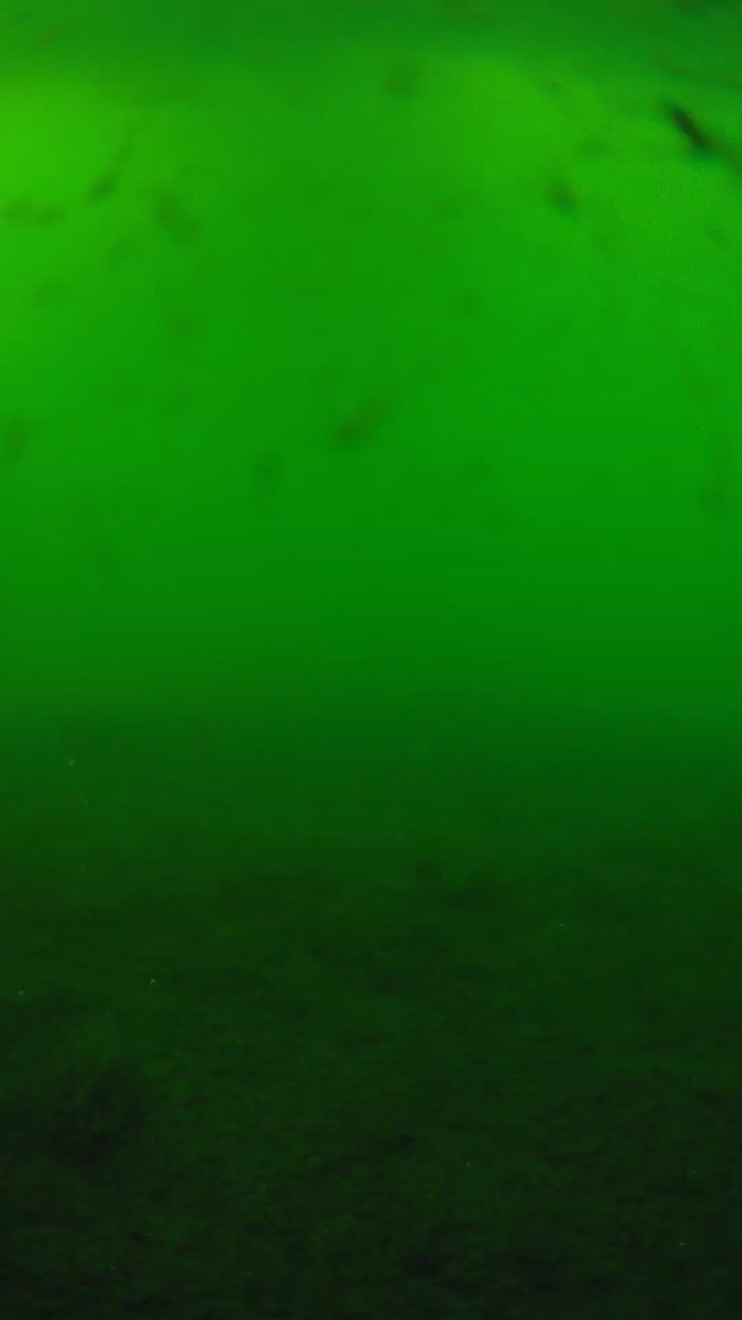 lander_ipcam_20240622170604.png
