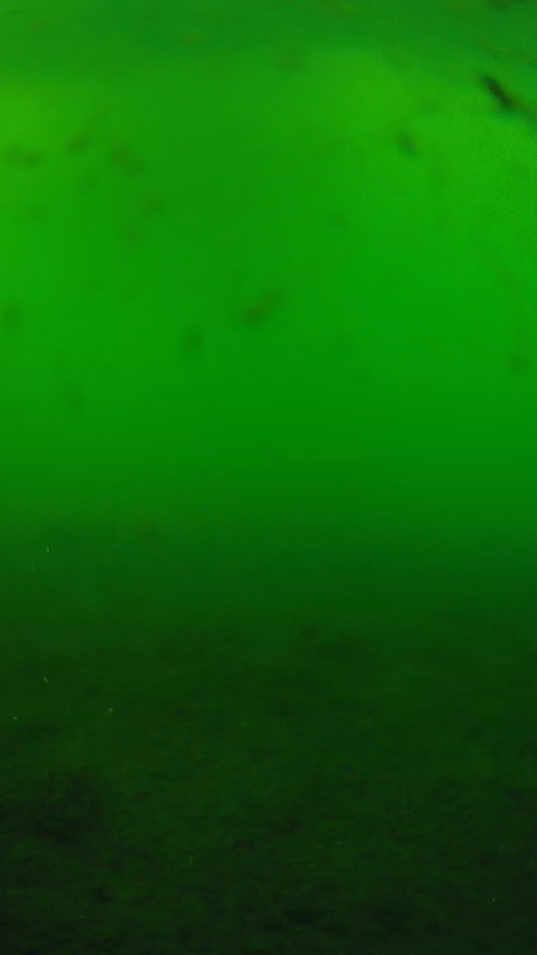 lander_ipcam_20240622173543.png