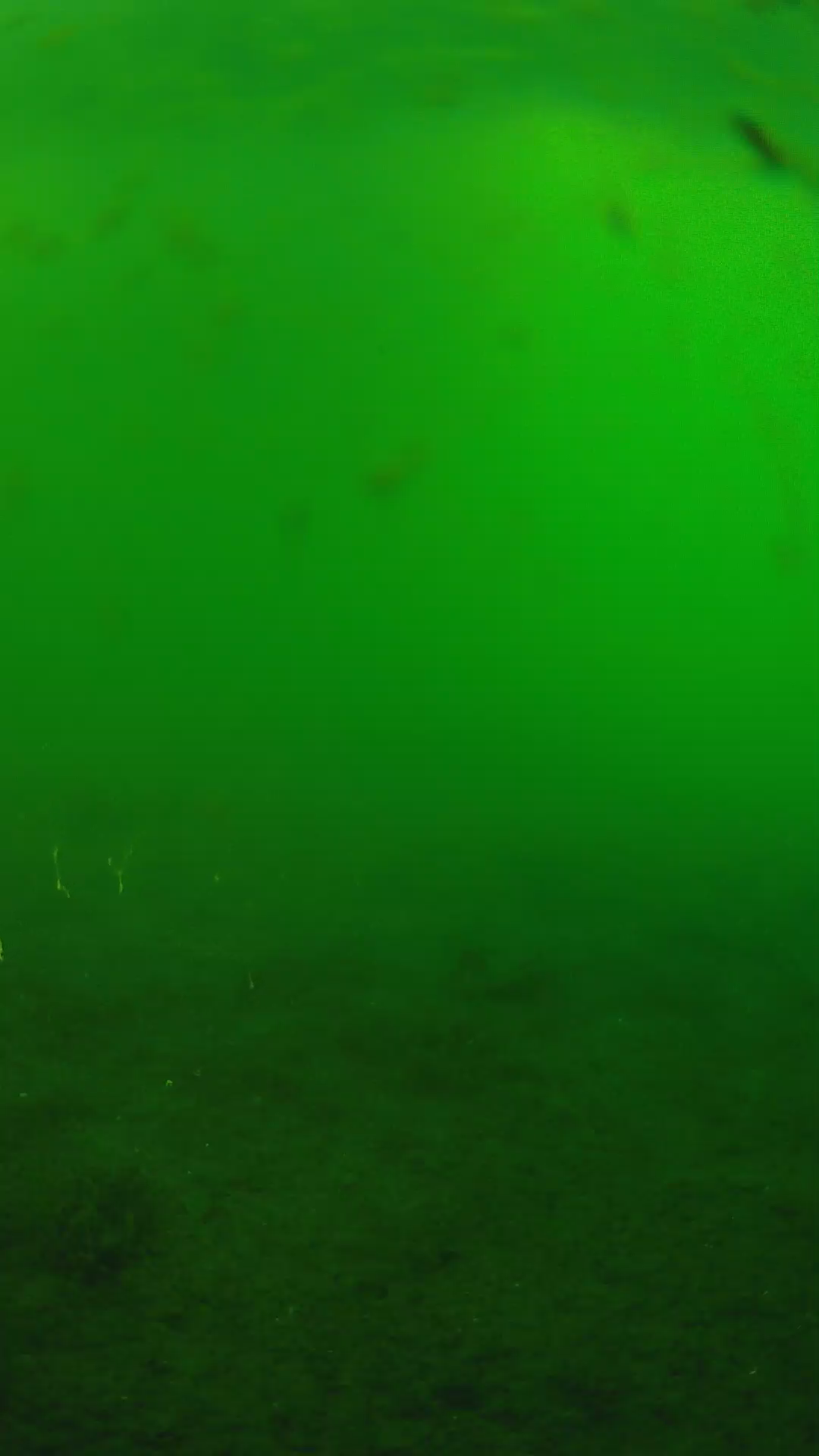 lander_ipcam_20240622180540.png