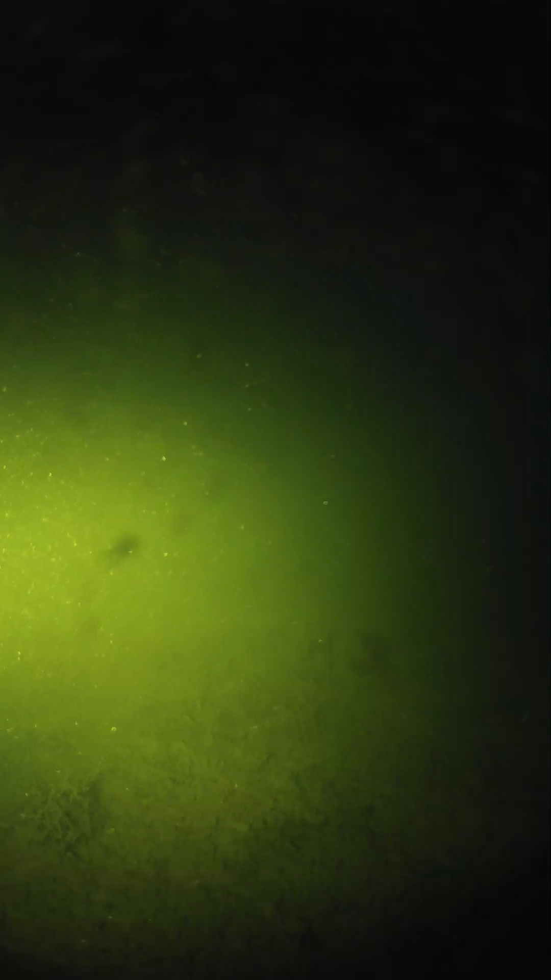 lander_ipcam_20240622203552.png