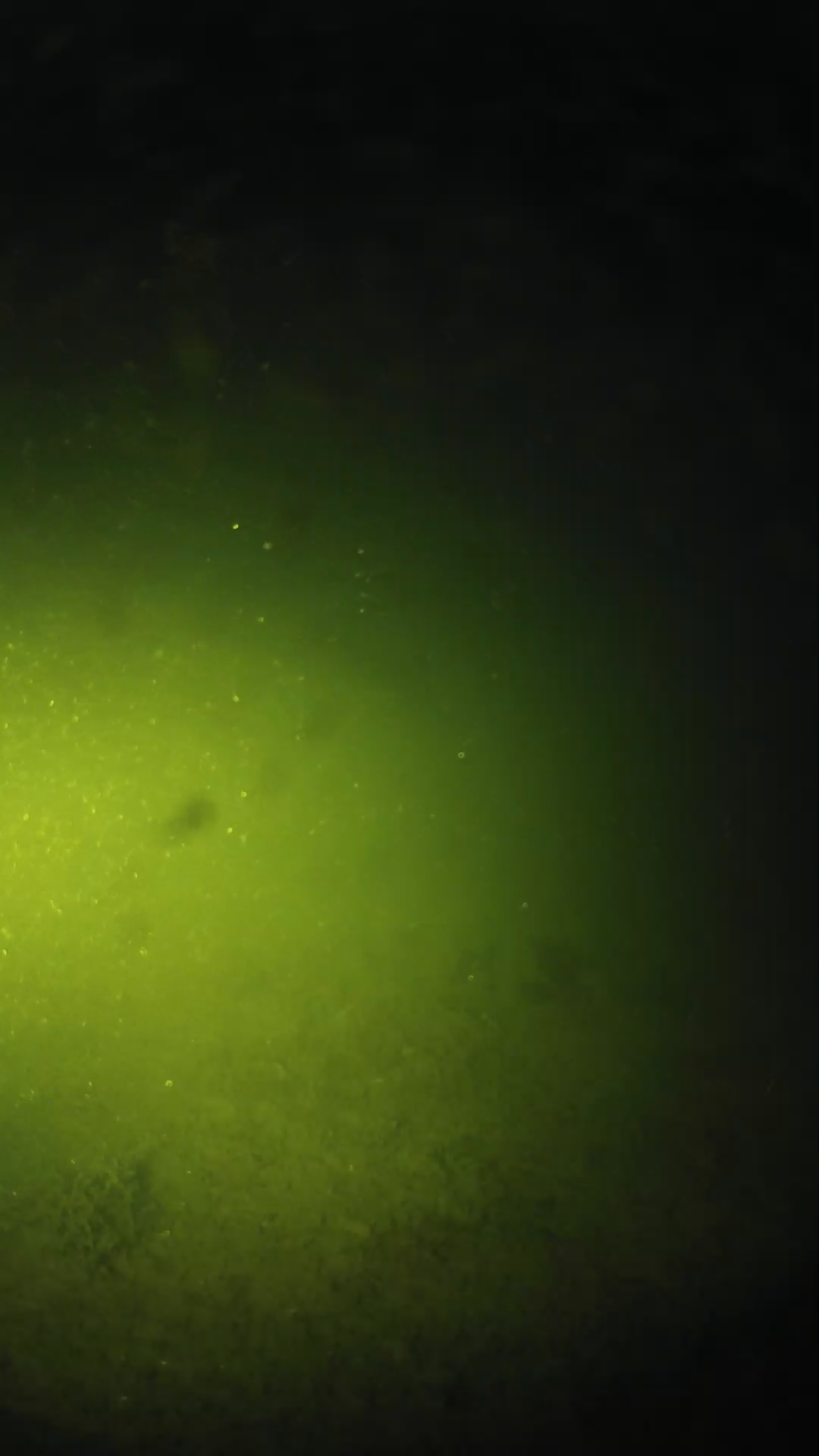 lander_ipcam_20240622203553.png