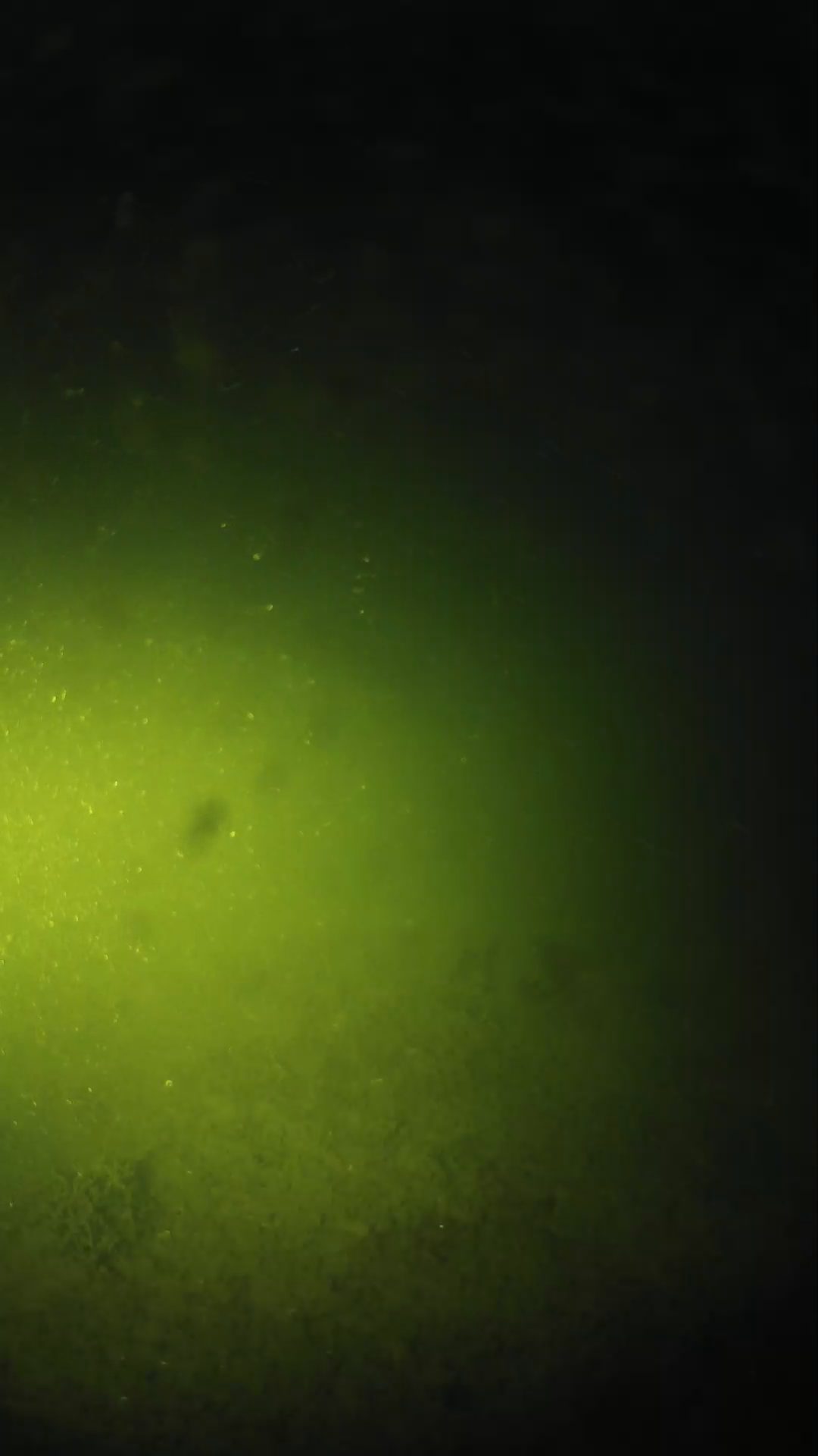 lander_ipcam_20240622203554.png