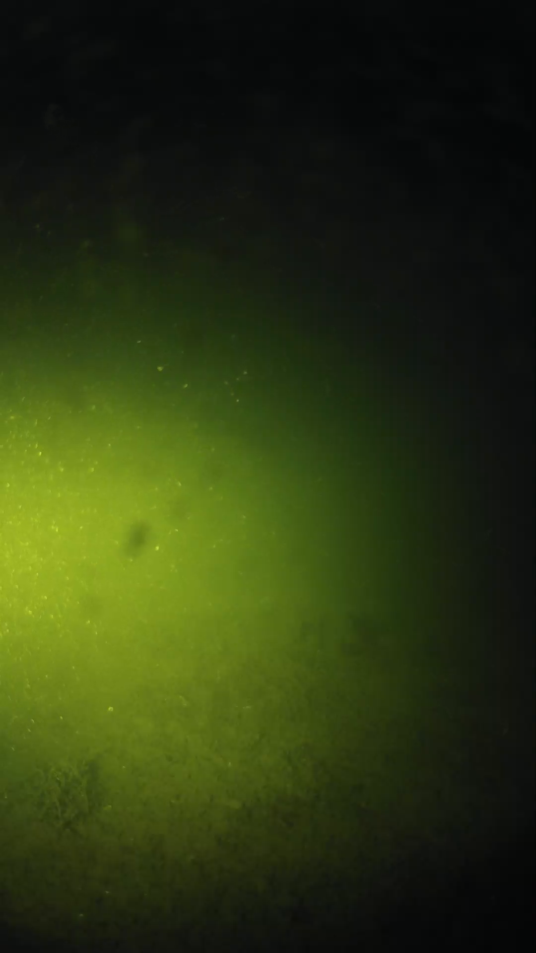 lander_ipcam_20240622203555.png