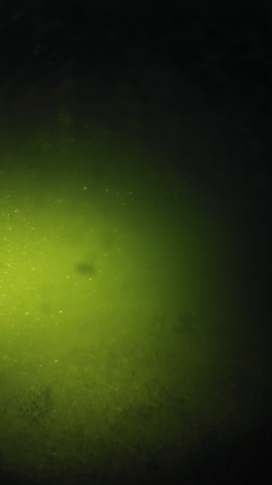 lander_ipcam_20240622203556.png