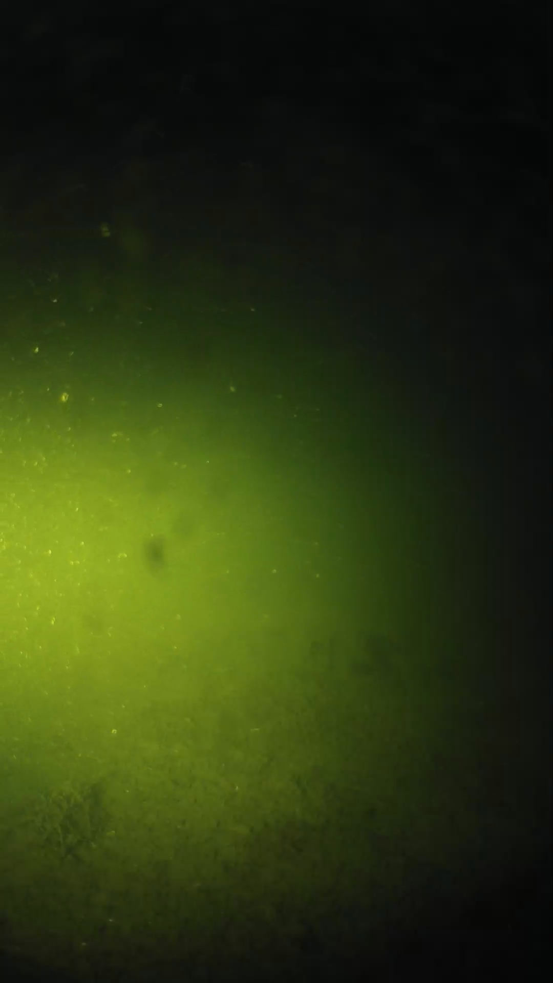 lander_ipcam_20240622203559.png