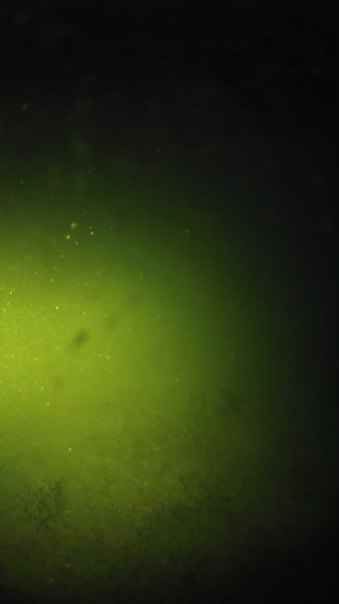 lander_ipcam_20240622203605.png