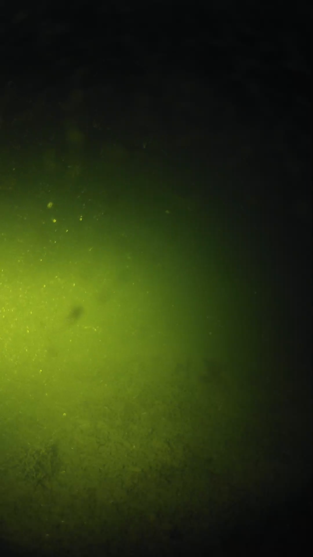 lander_ipcam_20240622203606.png