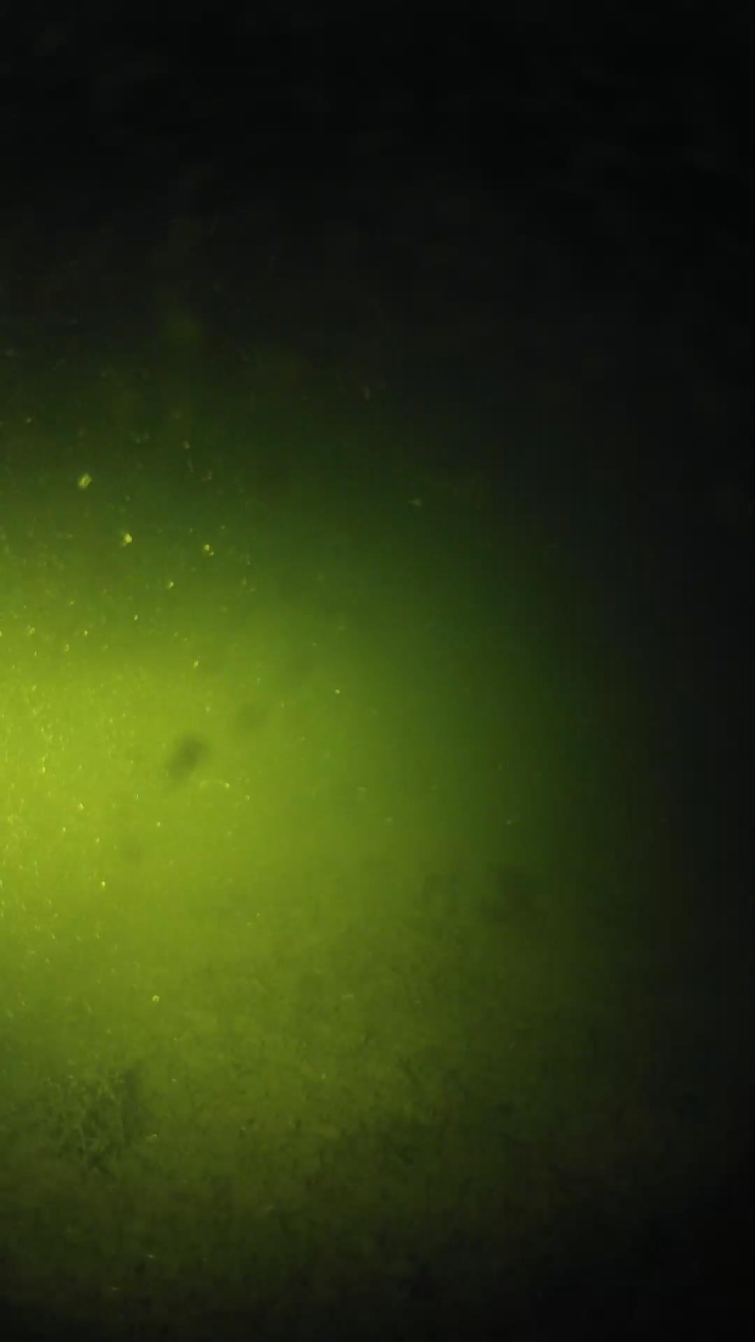 lander_ipcam_20240622203608.png
