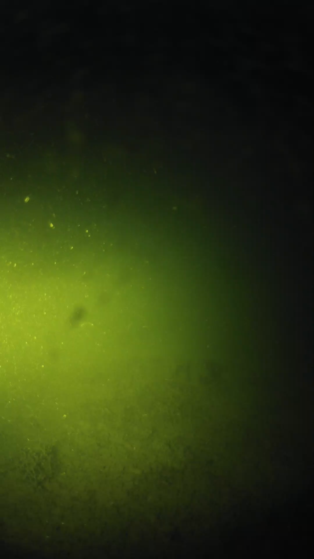 lander_ipcam_20240622203609.png