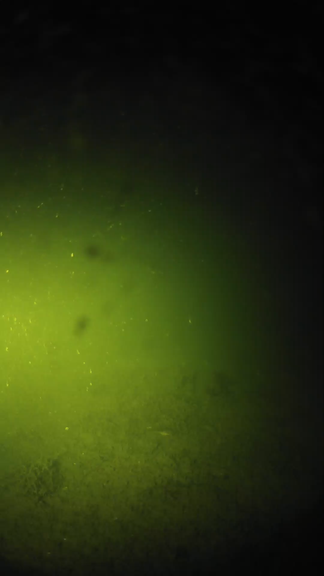 lander_ipcam_20240622210538.png