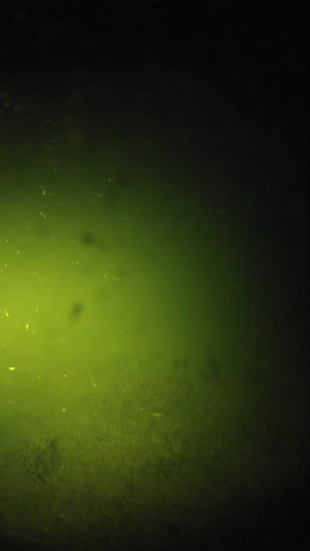lander_ipcam_20240622210551.png