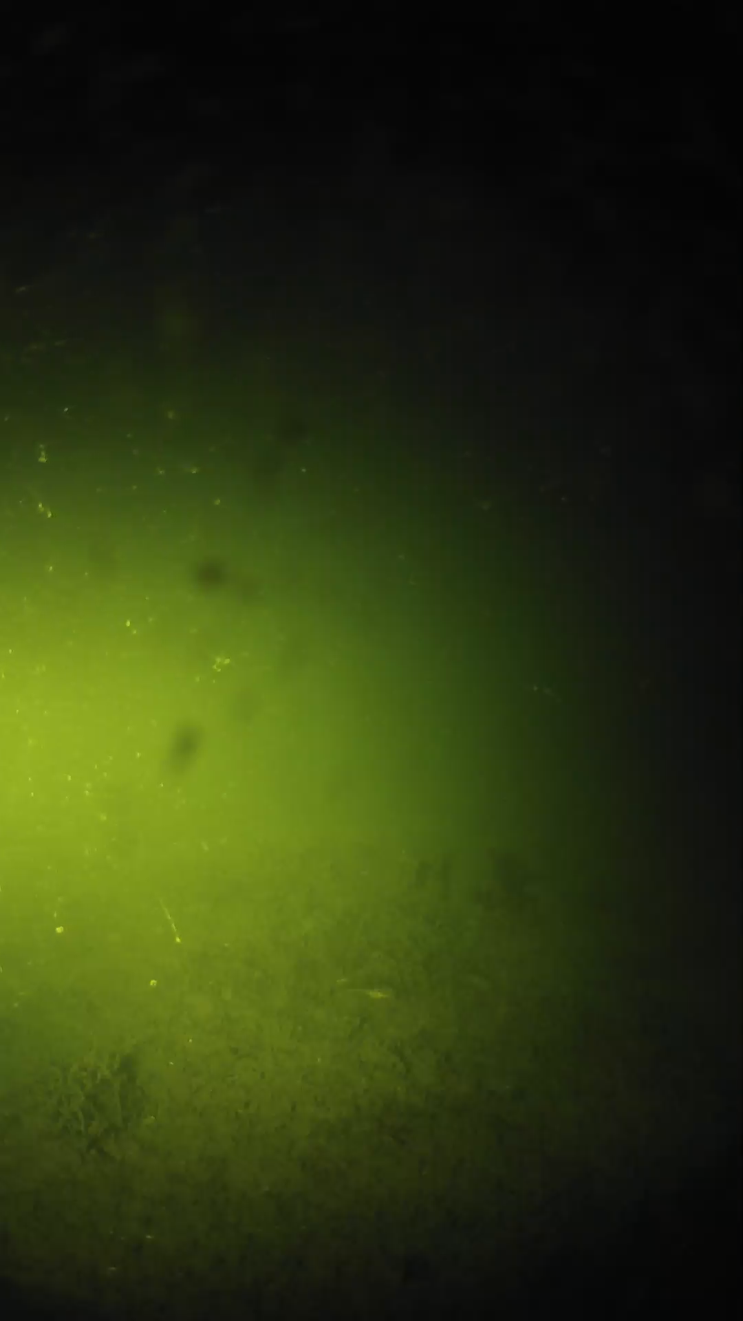 lander_ipcam_20240622210553.png