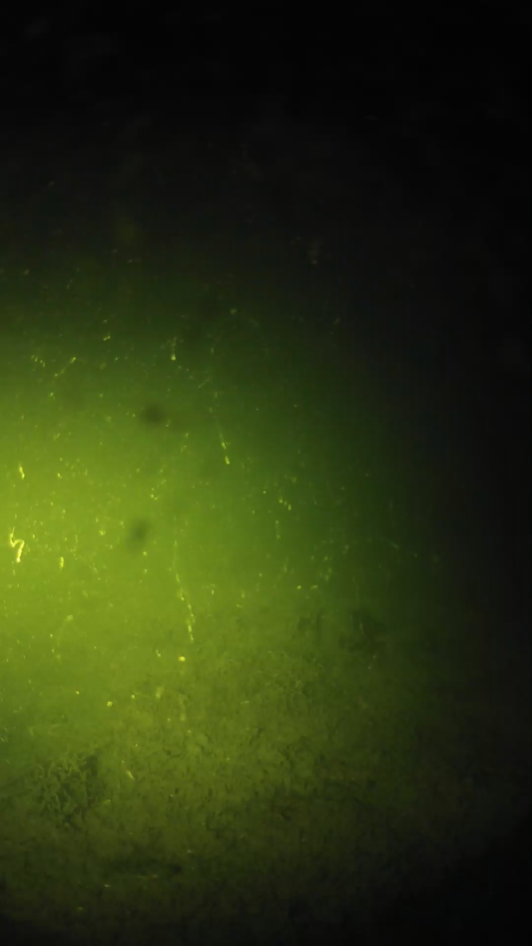 lander_ipcam_20240622213538.png