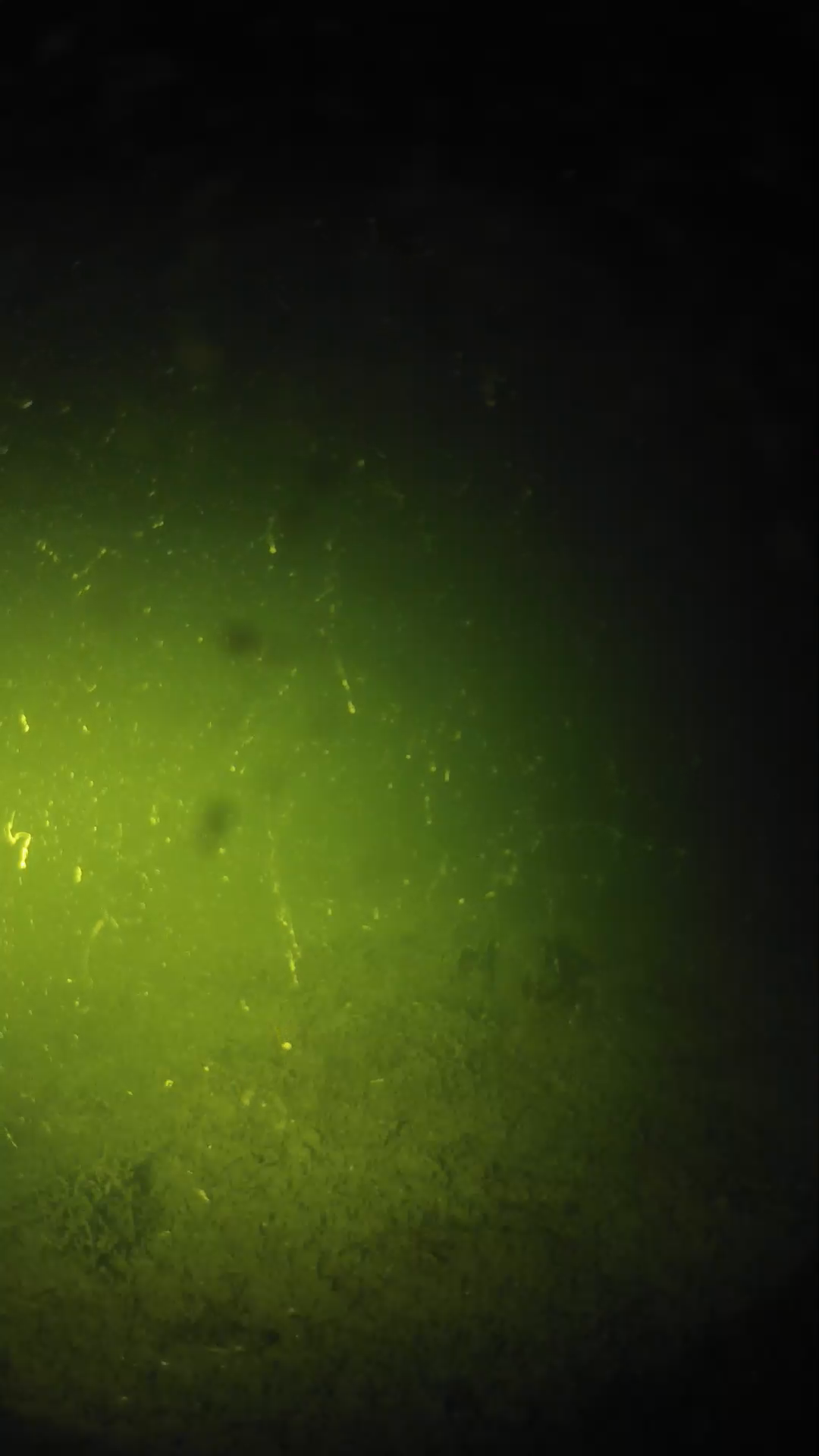 lander_ipcam_20240622213539.png