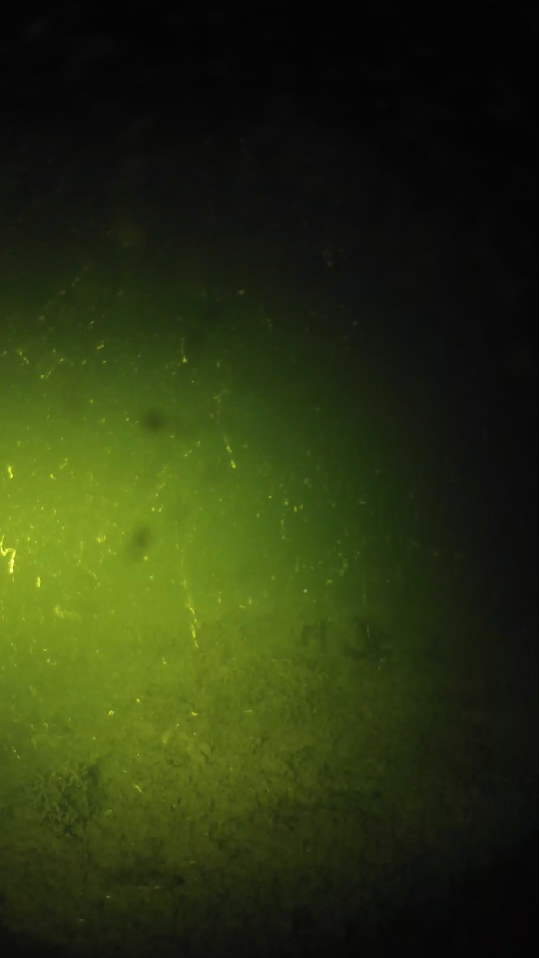 lander_ipcam_20240622213540.png
