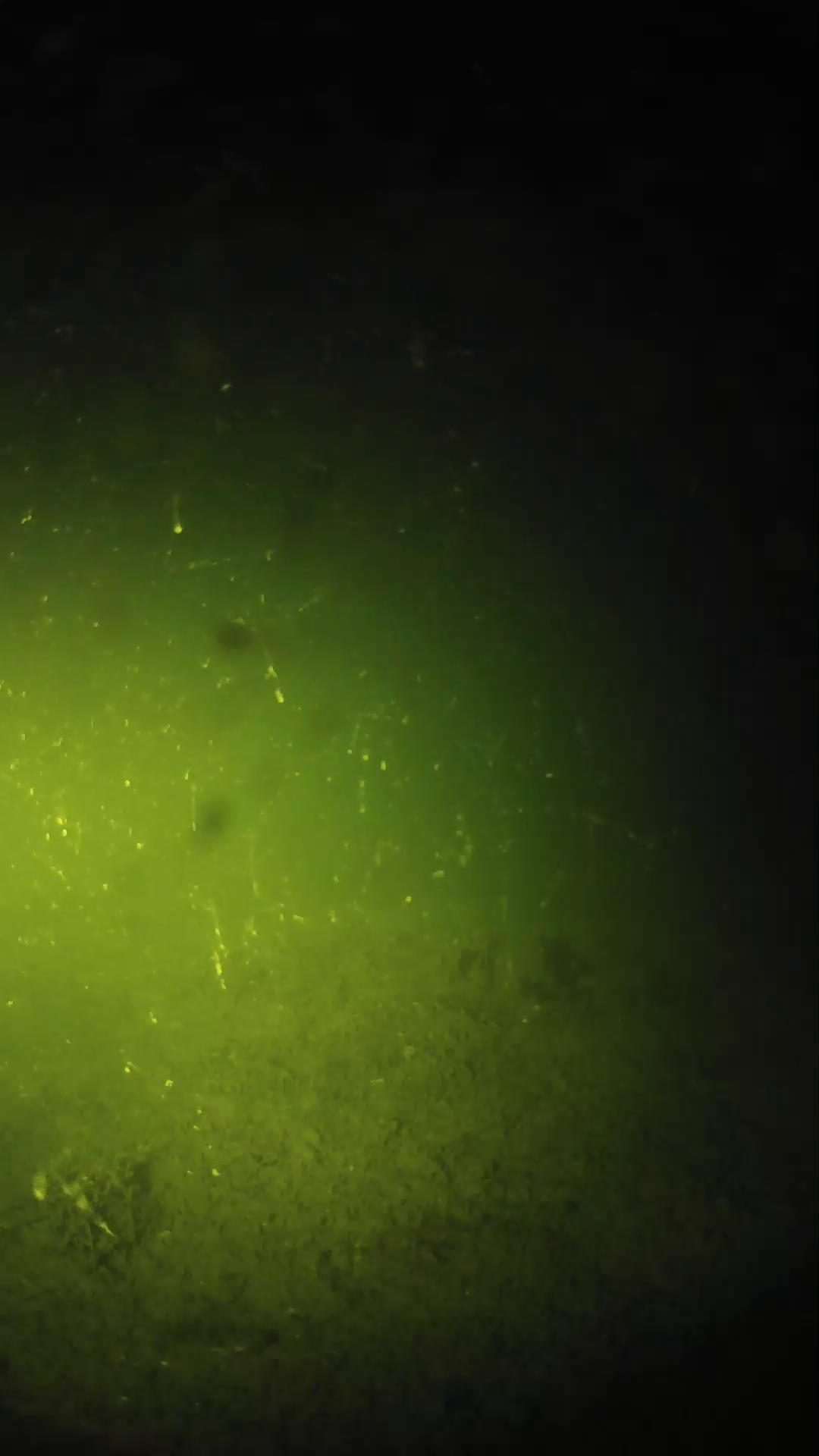 lander_ipcam_20240622213542.png