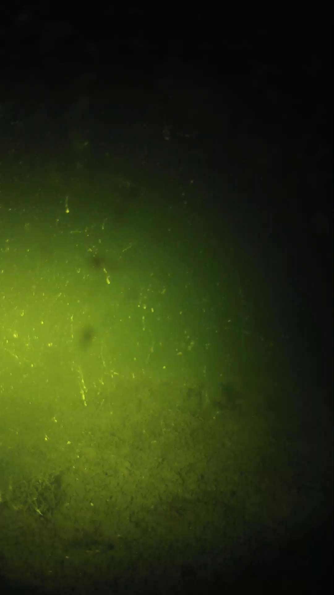 lander_ipcam_20240622213544.png