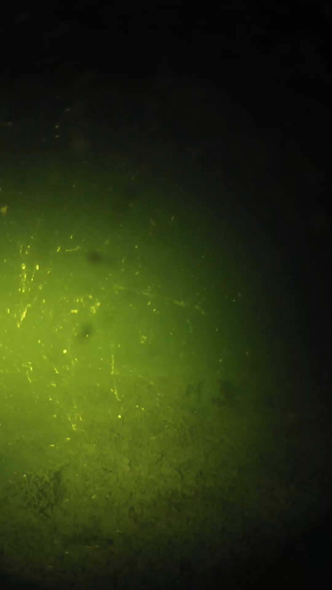 lander_ipcam_20240622213556.png
