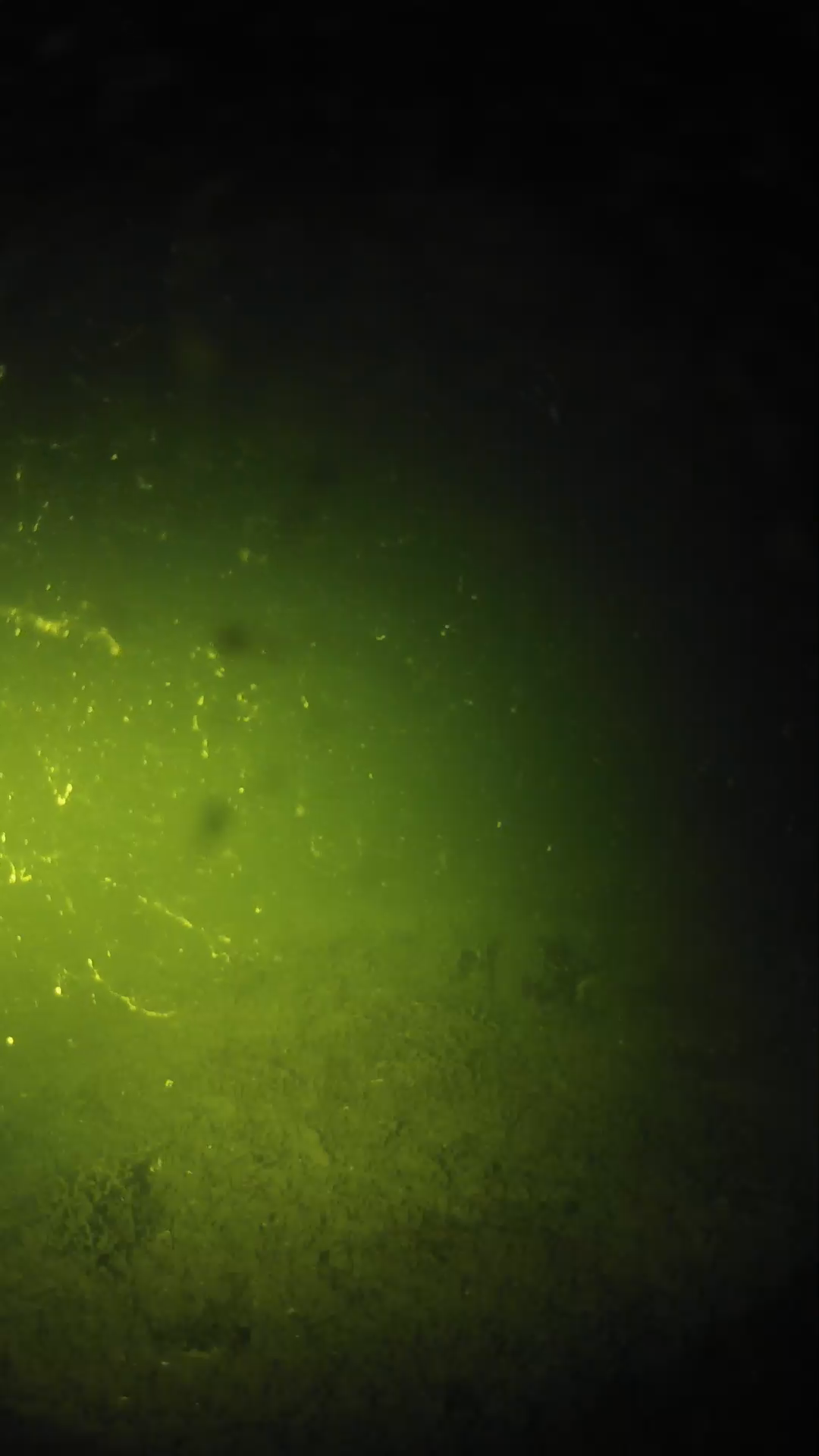 lander_ipcam_20240622213605.png