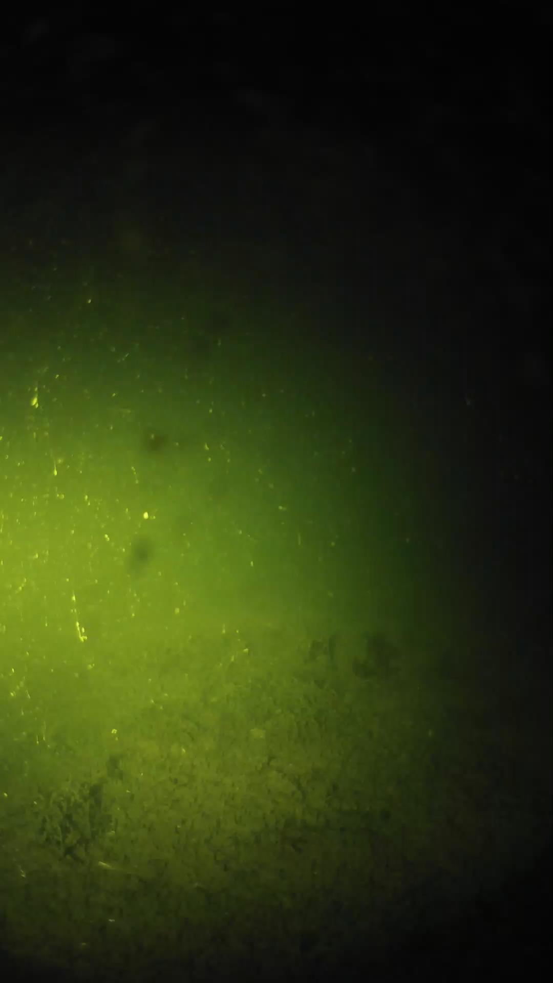 lander_ipcam_20240622220555.png