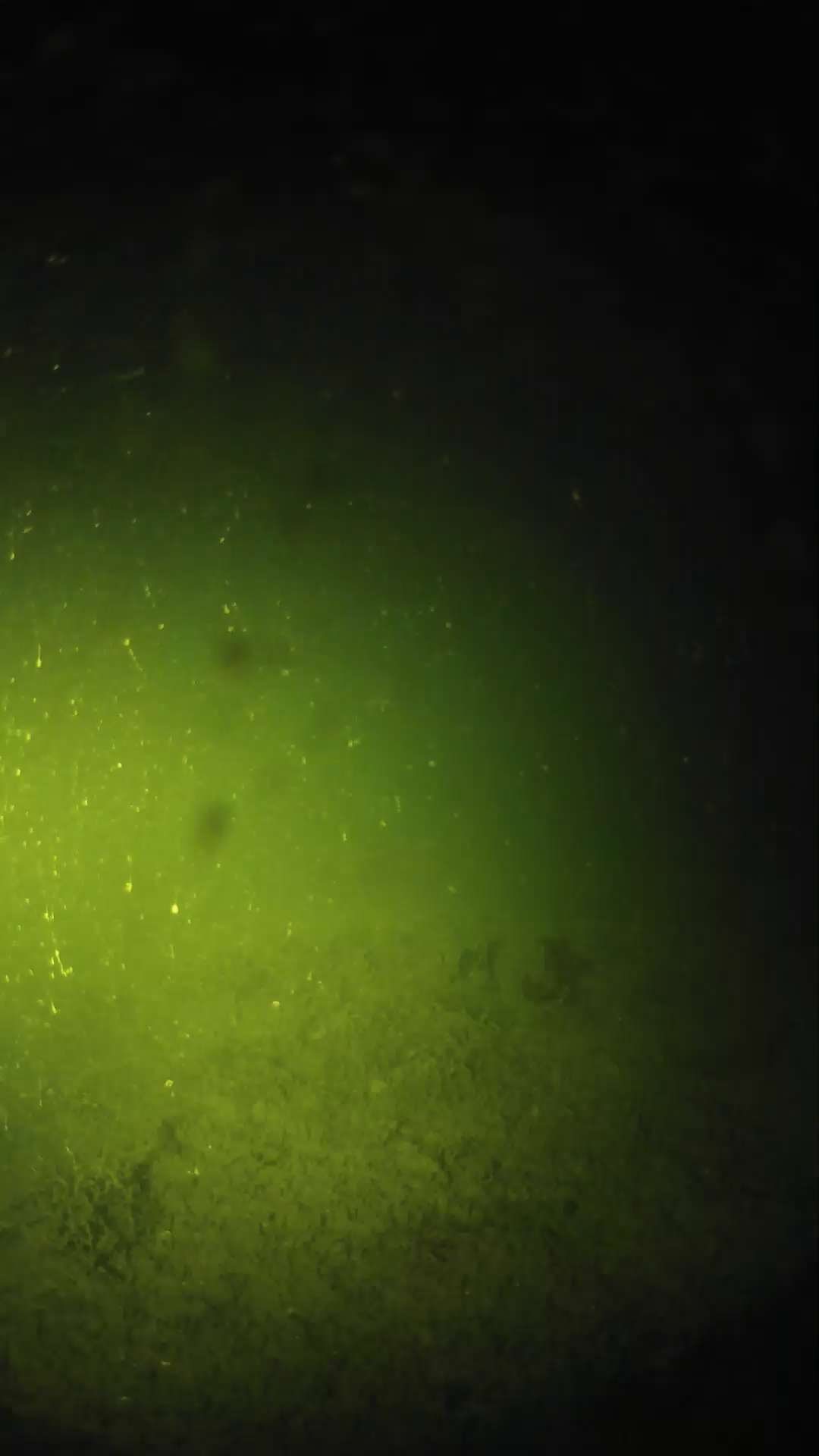 lander_ipcam_20240622220607.png