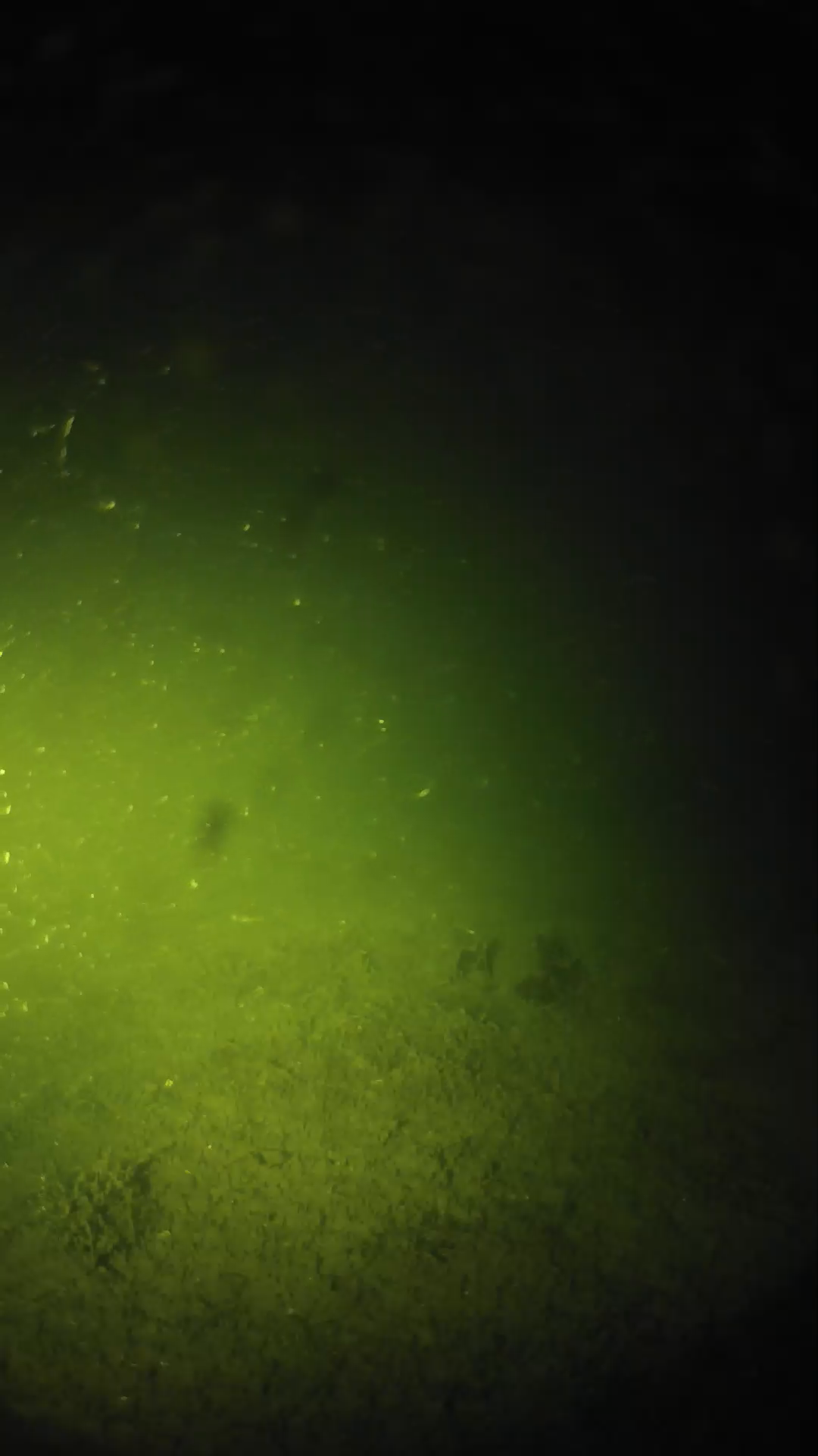 lander_ipcam_20240622233552.png