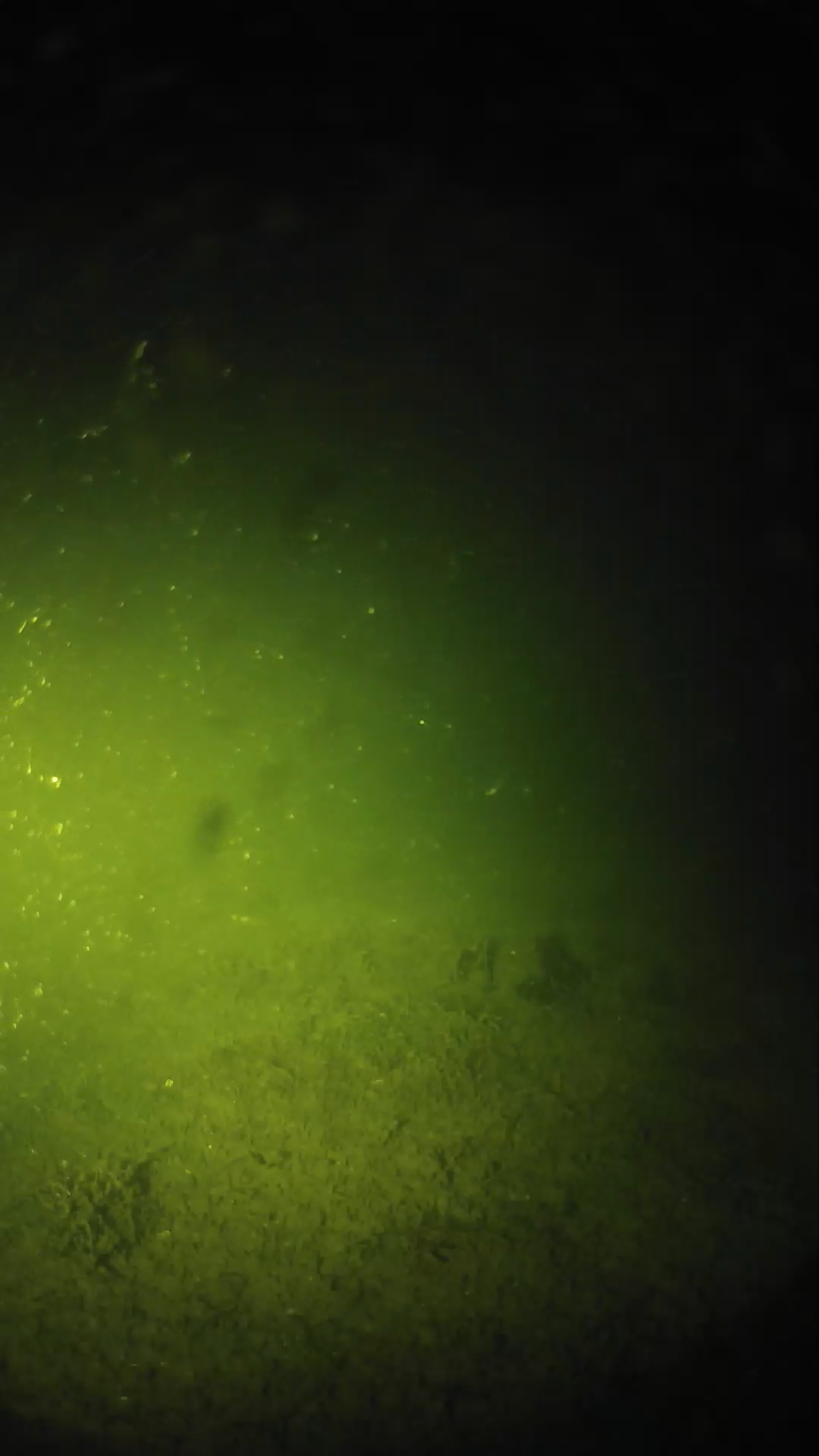 lander_ipcam_20240622233553.png