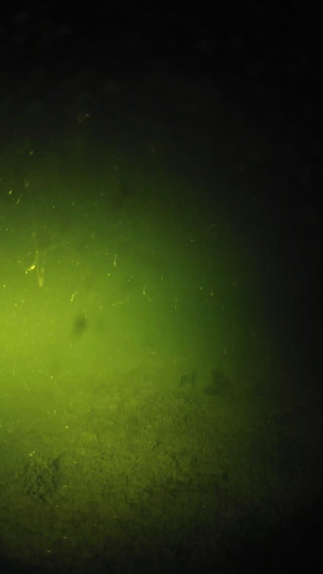 lander_ipcam_20240623030558.png