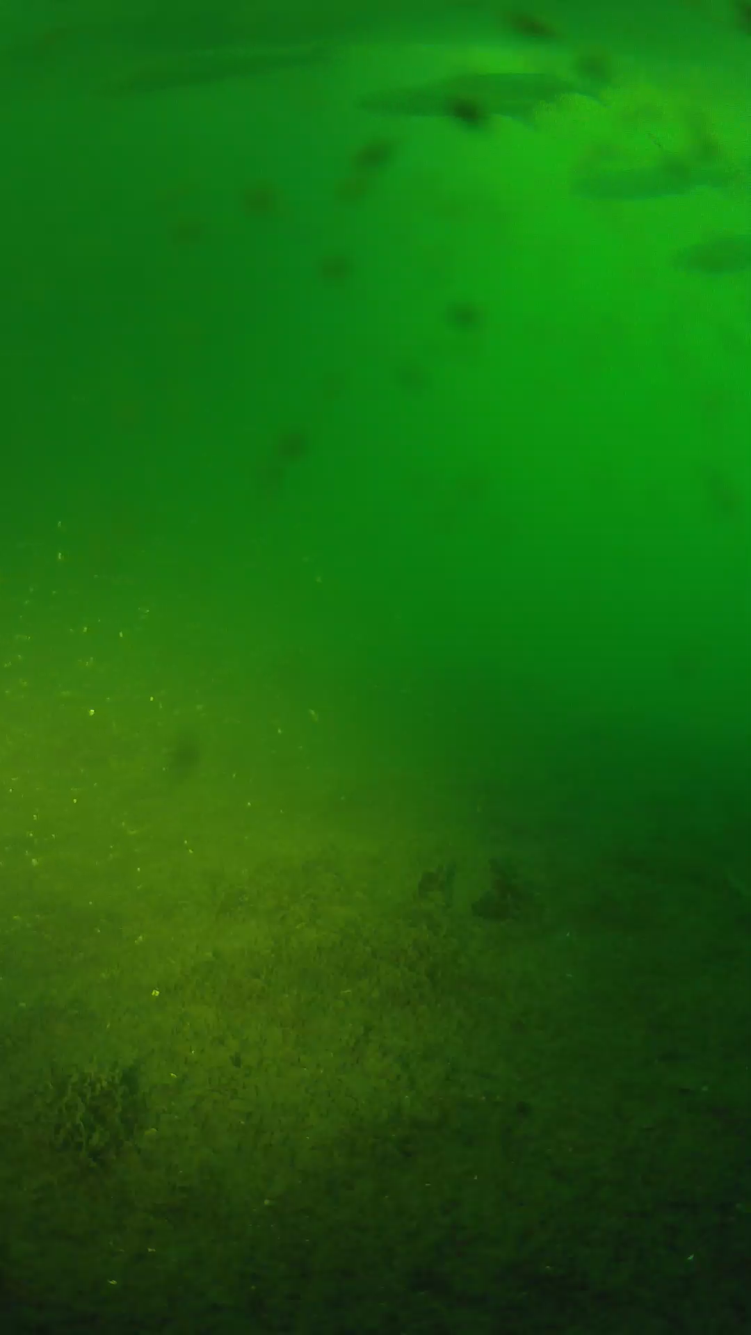 lander_ipcam_20240623050544.png