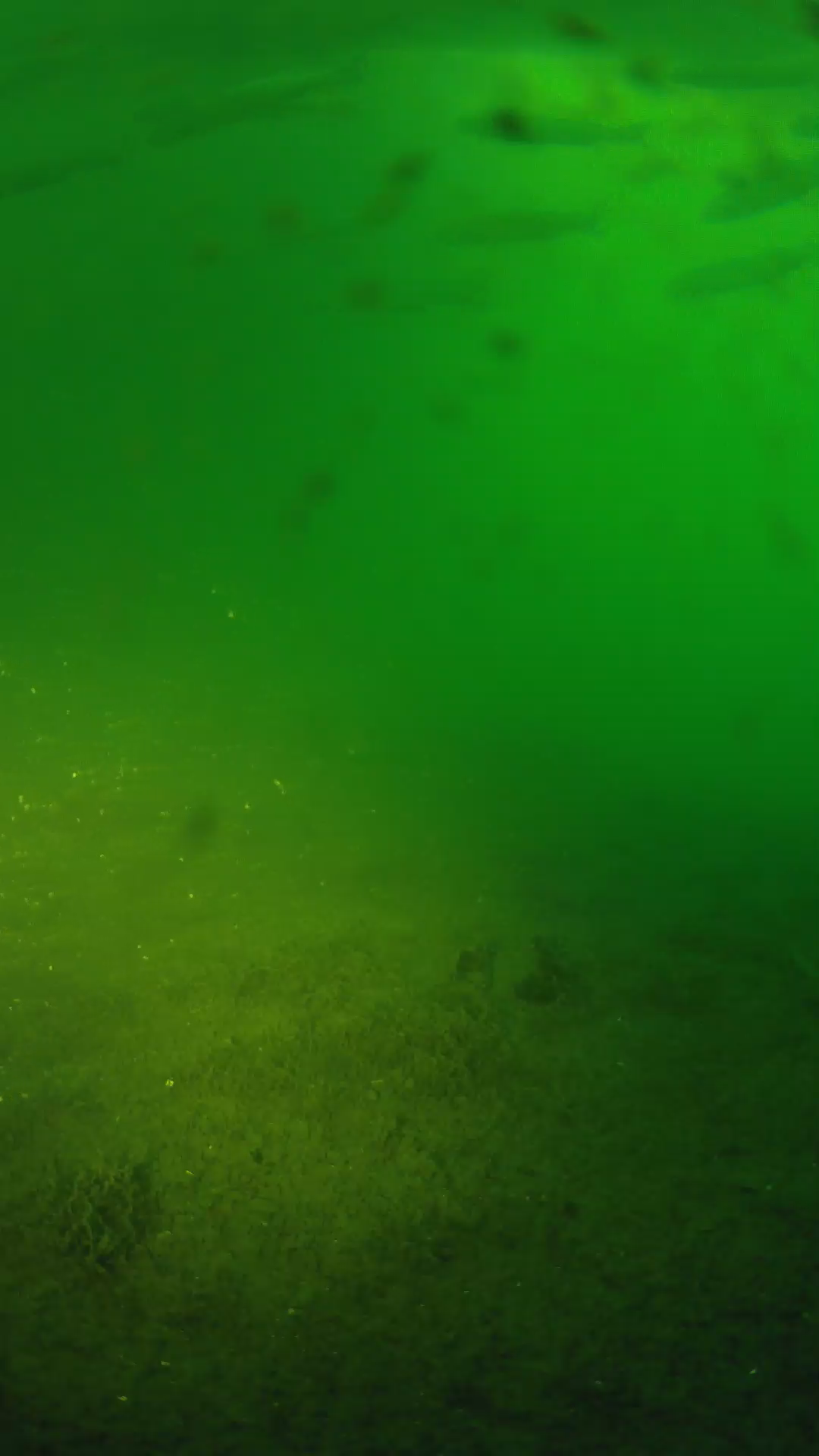 lander_ipcam_20240623050546.png