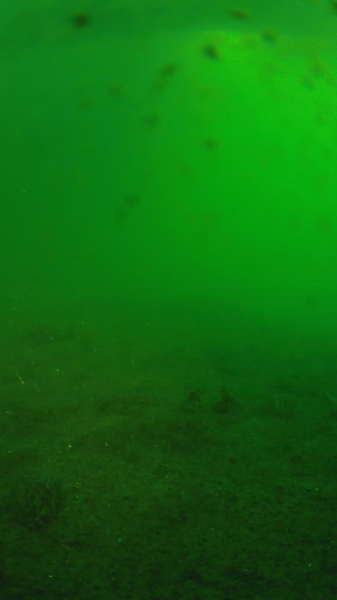 lander_ipcam_20240623053539.png